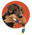 Waterloo Amateur Retriever Club logo